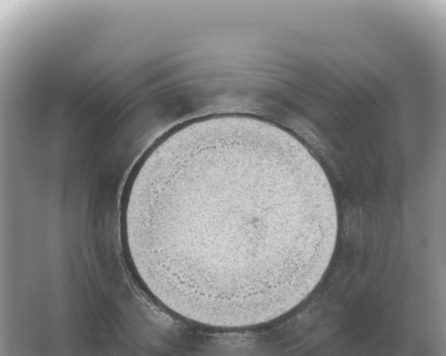 X0000067510836200604150131