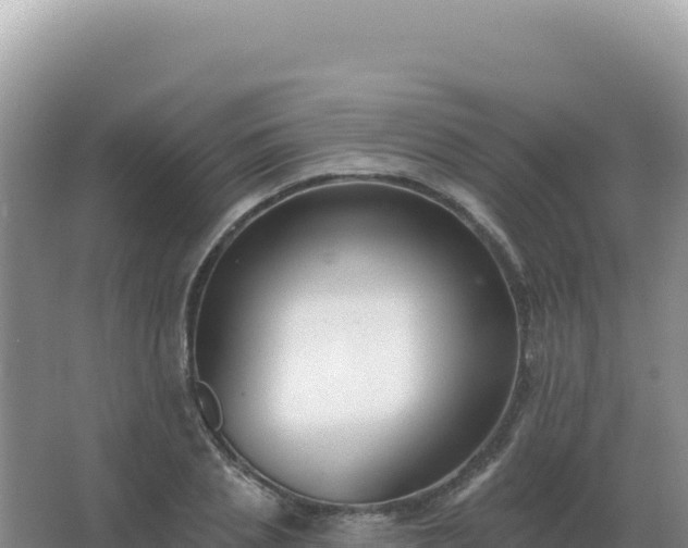 X0000067510837200604150131