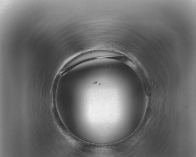 X0000067510838200604150131