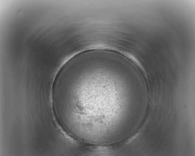 X0000067510839200604150131