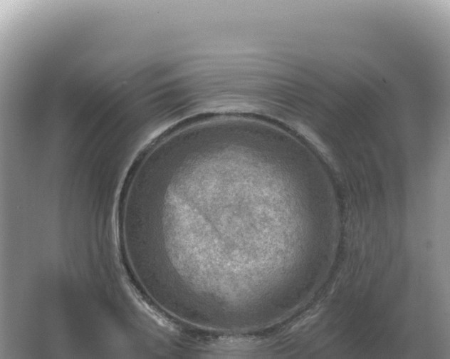 X0000067510840200604150131