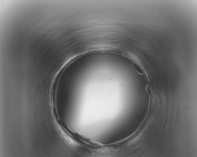 X0000067510843200604150131