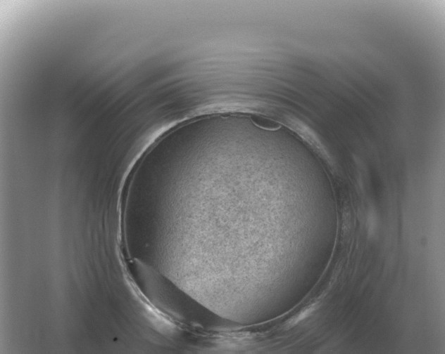 X0000067510844200604150131