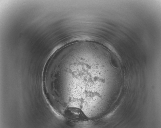 X0000067510845200604150131