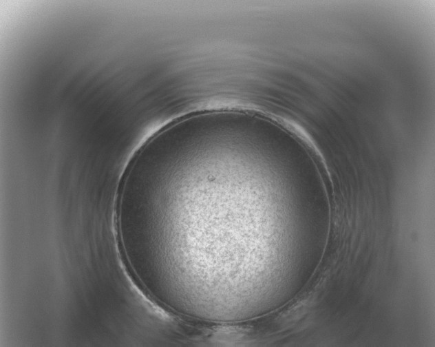 X0000067510847200604150131