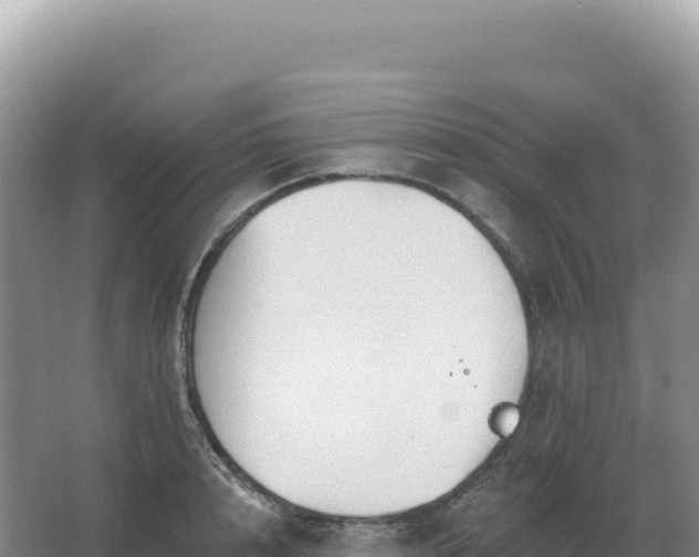 X0000067510848200604150131