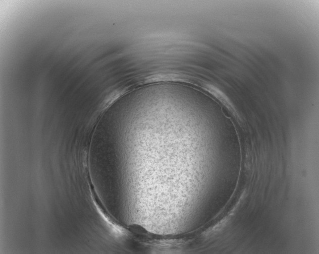 X0000067510849200604150131