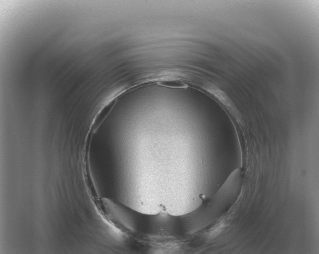 X0000067510850200604150131