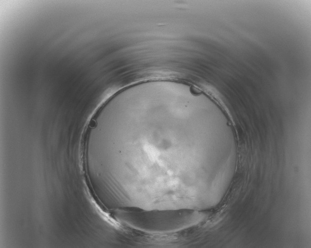 X0000067510851200604150131