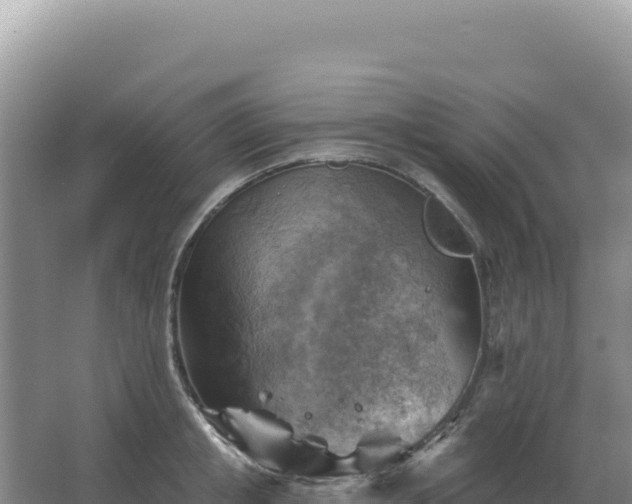 X0000067510853200604150131