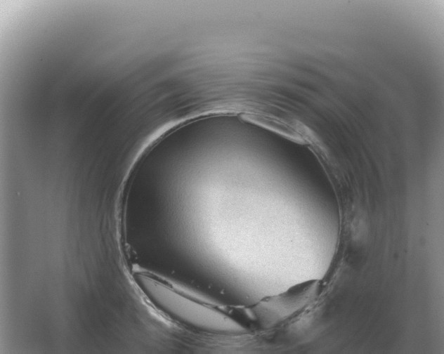 X0000067510854200604150131