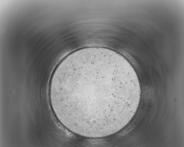 X0000067510856200604150131