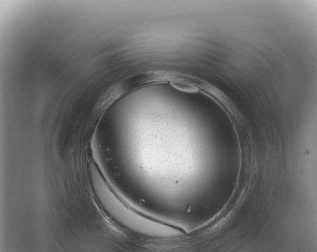 X0000067510857200604150131