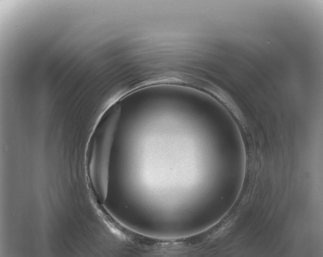 X0000067510858200604150131