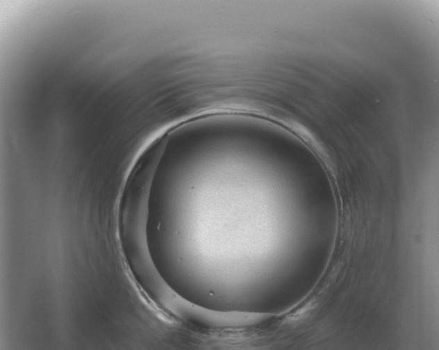 X0000067510862200604150132