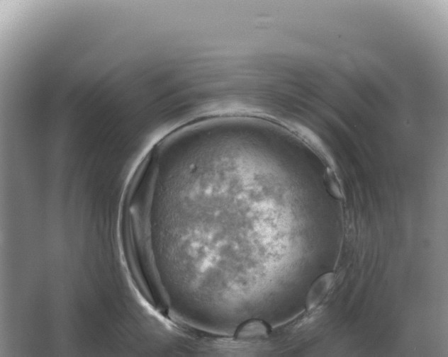 X0000067510863200604150132