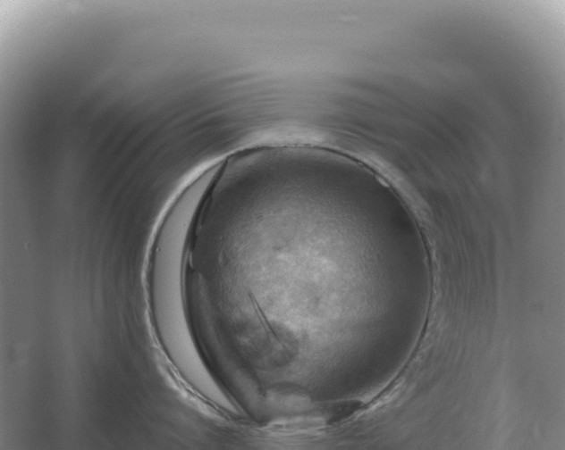 X0000067510864200604150132