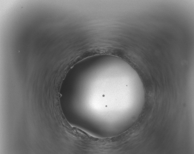 X0000067510865200604150131