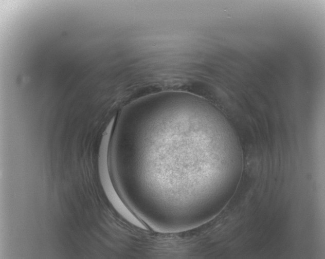 X0000067510866200604150131