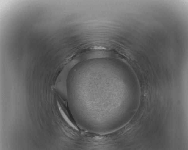 X0000067510868200604150131