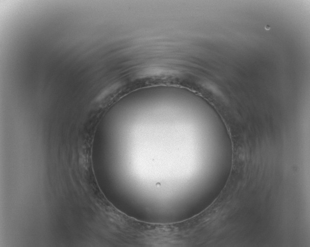 X0000067510869200604150131