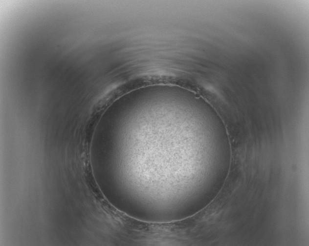 X0000067510870200604150131