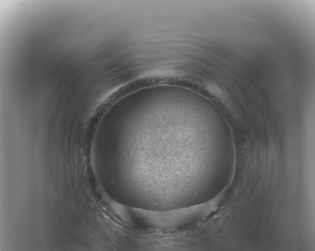 X0000067510872200604150131