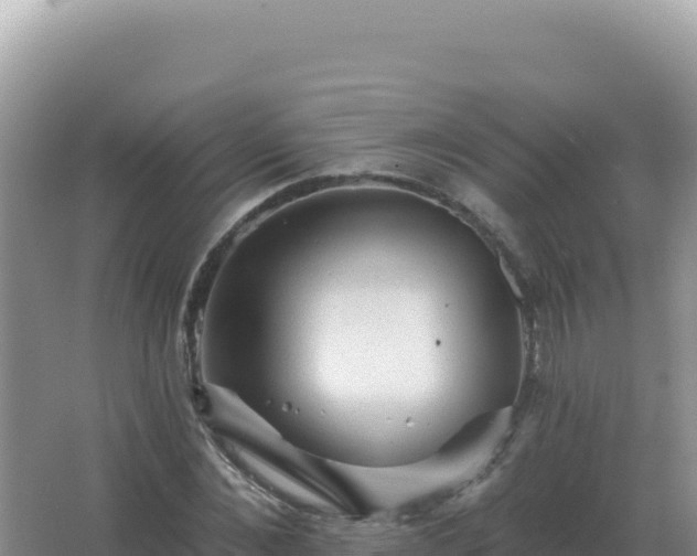 X0000067510876200604150131