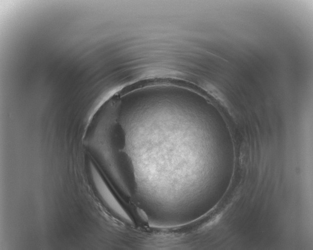 X0000067510877200604150131