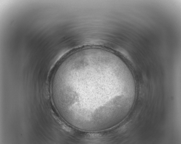 X0000067510878200604150131