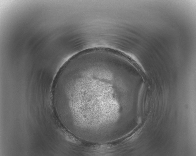 X0000067510879200604150131