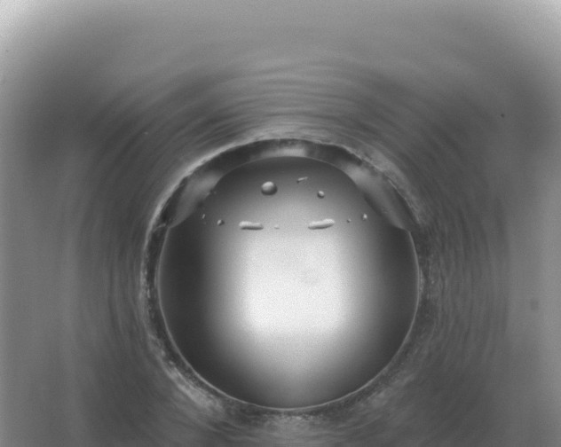 X0000067510880200604150130