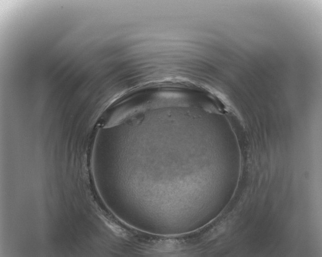 X0000067510881200604150130