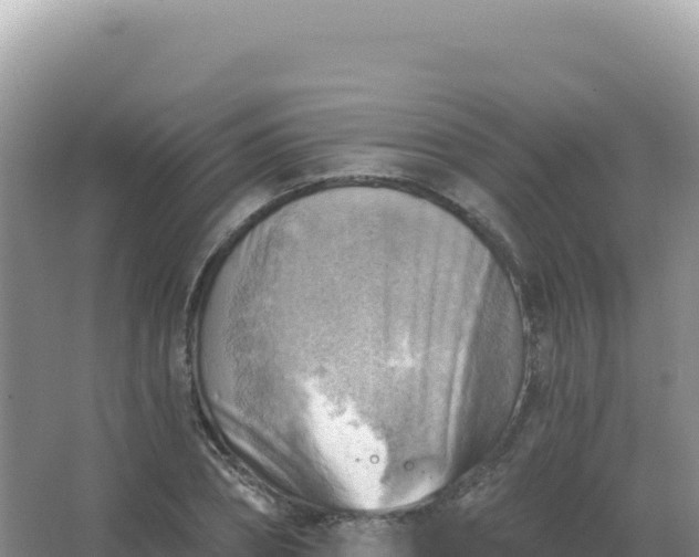 X0000067510882200604150130