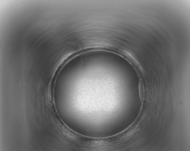 X0000067510883200604150130