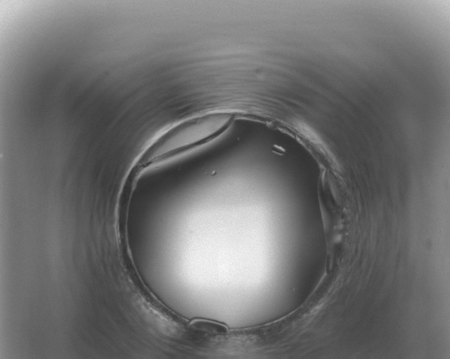 X0000067510884200604150130