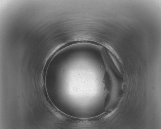 X0000067510885200604150130