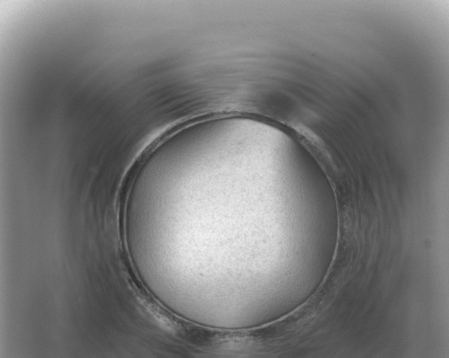 X0000067510886200604150130