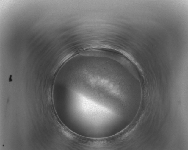 X0000067510889200604150130