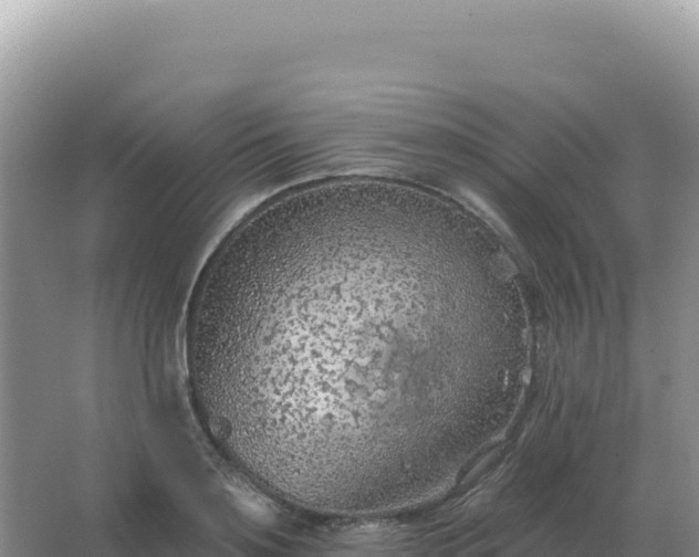 X0000067510891200604150130