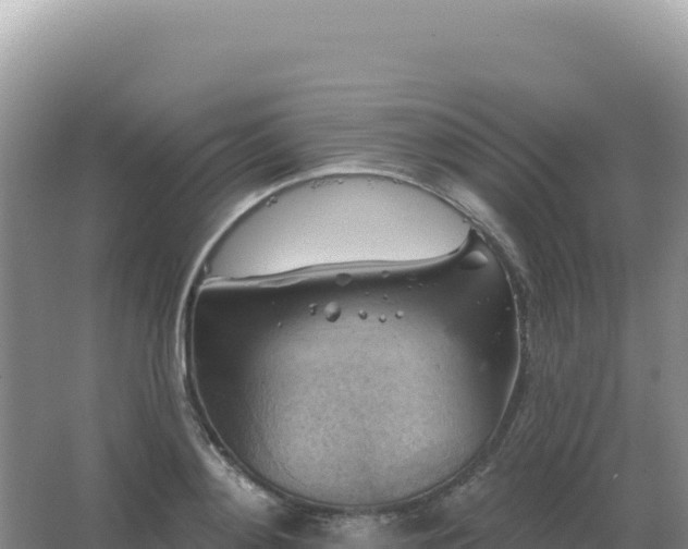 X0000067510892200604150130