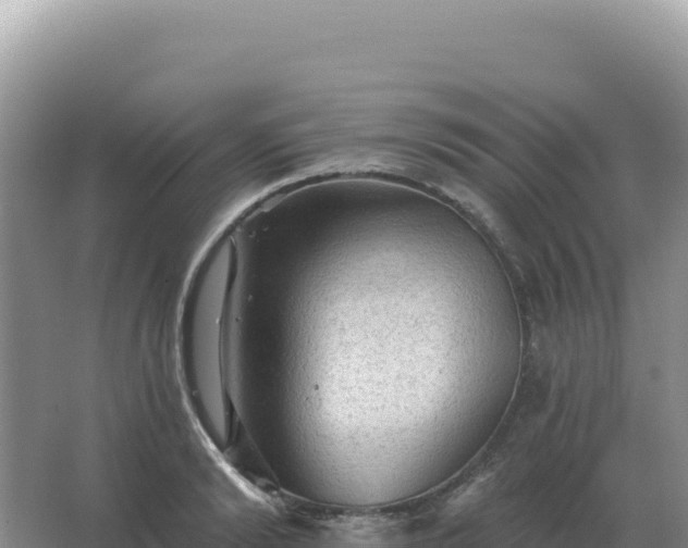 X0000067510894200604150130