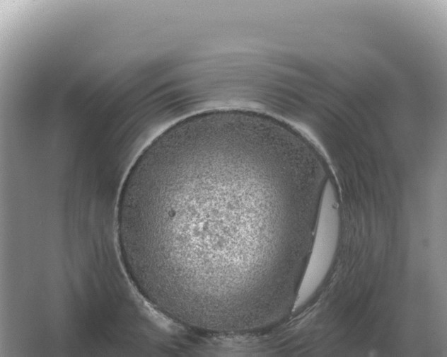 X0000067510895200604150130