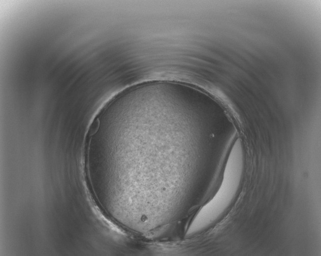 X0000067510896200604150130