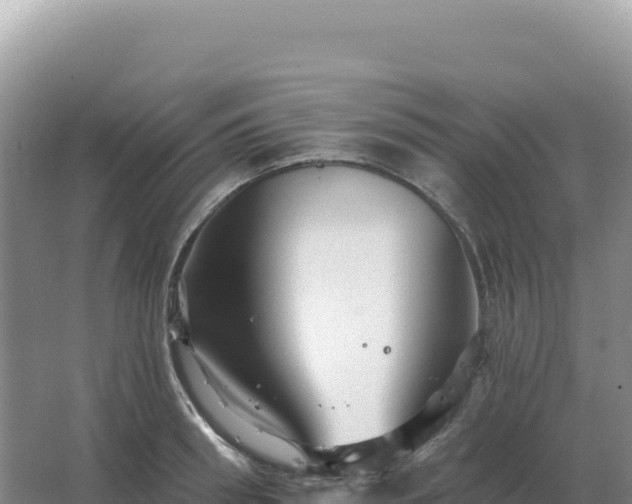 X0000067510898200604150130