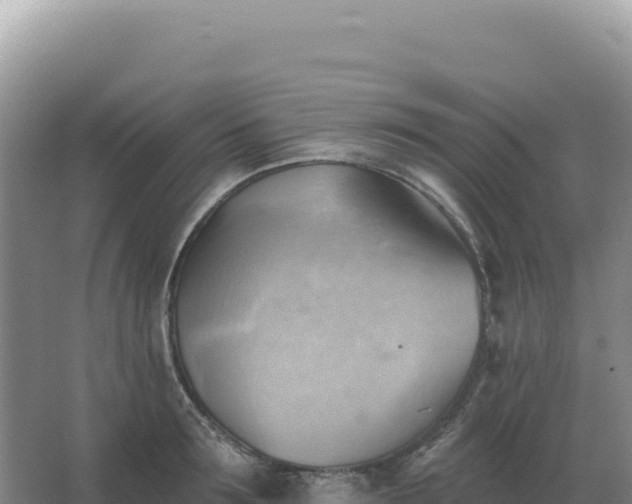 X0000067510899200604150130