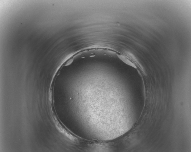 X0000067510900200604150130