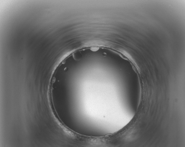 X0000067510901200604150130