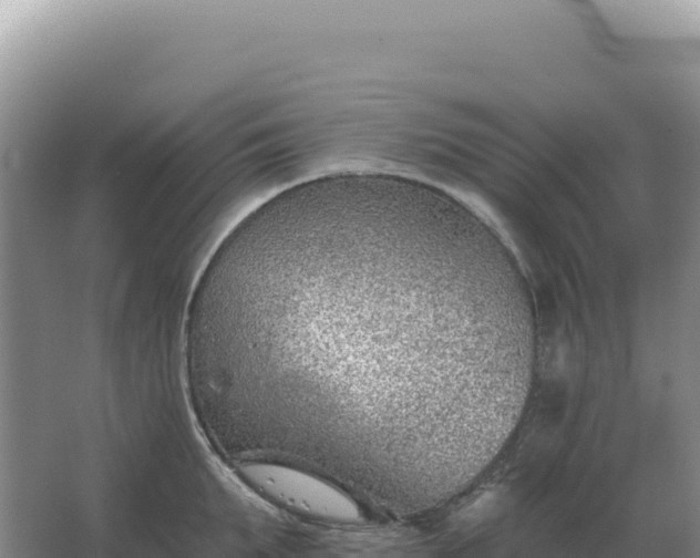 X0000067510903200604150130