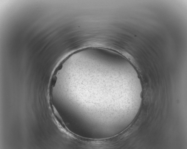 X0000067510904200604150130